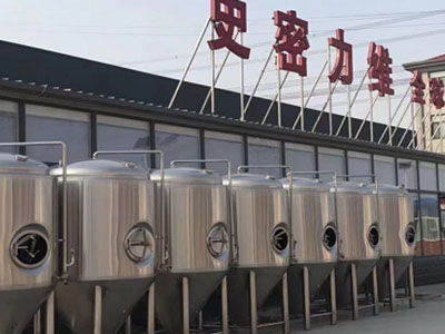 深圳精酿啤酒设备厂—如何判断精酿啤酒设备的密封件需要更换？
